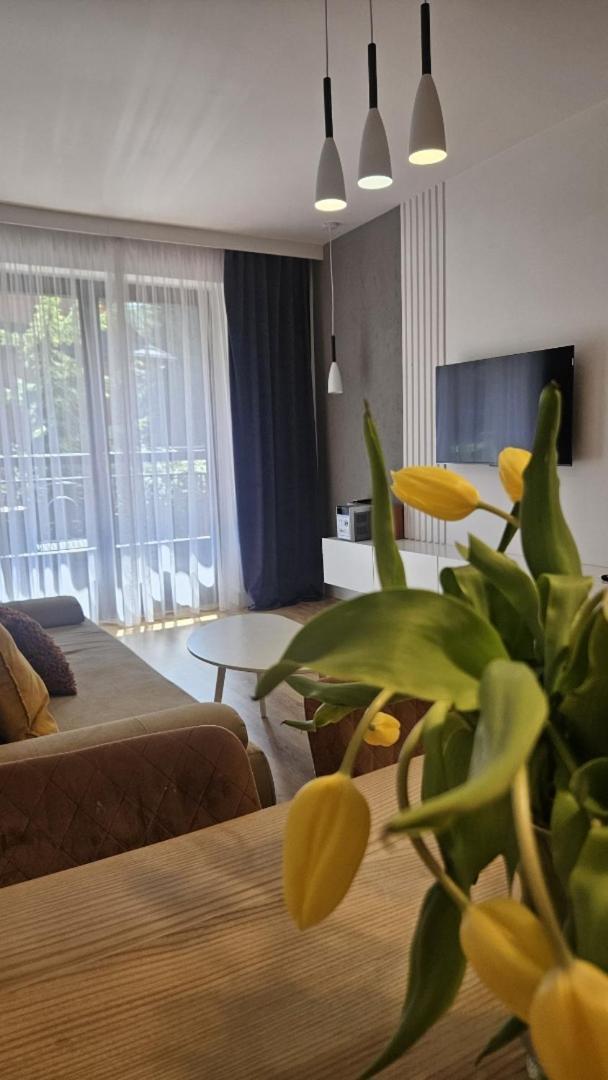 Apart4You Apartamenty Bulwary25 زاكوباني الغرفة الصورة