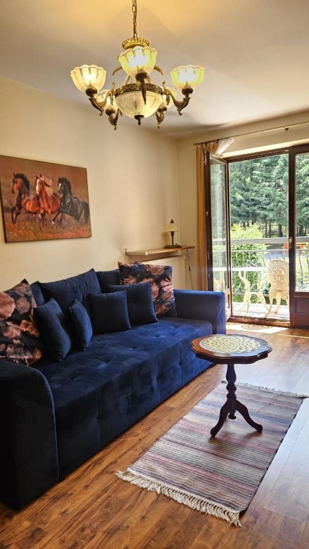 Apart4You Apartamenty Bulwary25 زاكوباني الغرفة الصورة